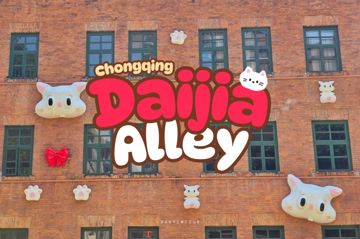 กำแพงแมวฉงชิ่ง สุดน่ารัก มุมถ่ายรูปสำหรับทาสแมวที่ Daijia Alley จีน