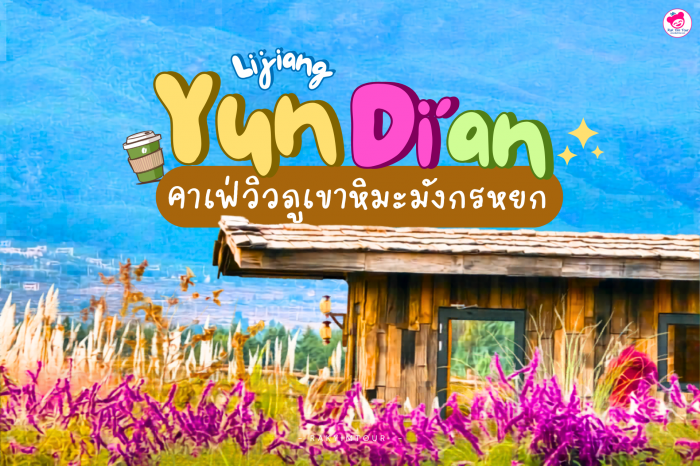คาเฟ่ลี่เจียง วิวหลักล้าน หยุนตี้อัน ฉากหลังวิวภูเขาหิมะมังกรหยก จีน