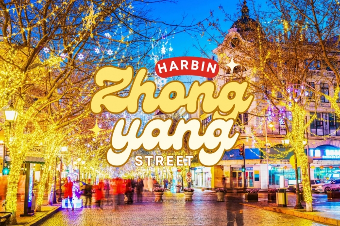 ถ่ายรูปไฟประดับสุดวิบวับ ถนนคนเดินจงหยาง Zhongyang Street ฮาร์บิน จีน