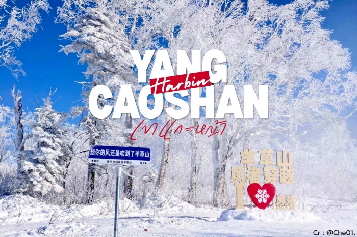 ดินแดนแฟรี่เทลแห่งฮาร์บิน เขาแกะหญ้า Yangcaoshan จีน