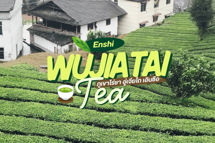 ภูเขาไร่ชาแห่งเอินซือ ไร่ชาอู่เจียไถ ชาหลวงในตำนานที่ใช้ถวายฮ่องเต้ จีน