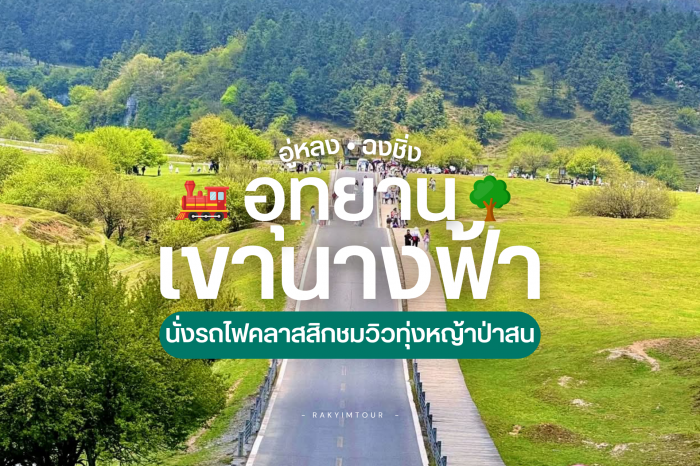 นั่งรถไฟคลาสสิก ชมวิวทุ่งหญ้า ป่าสน อุทยานเขานางฟ้า อู่หลง ฉงชิ่ง จีน