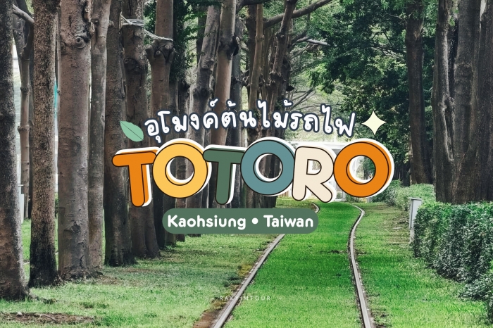 แลนด์มาร์คใหม่ ! ลอดอุโมงค์ต้นไม้รถไฟ ตามหา โตโตโร่ TotoroTunnel เกาสง ไต้หวัน