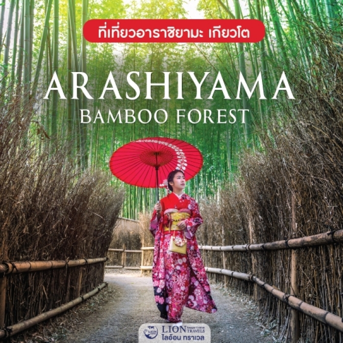 ทัวร์ญี่ปุ่น ป่าไผ่อาราชิยามะ สัมผัสธรรมชาติสุดประทับใจ