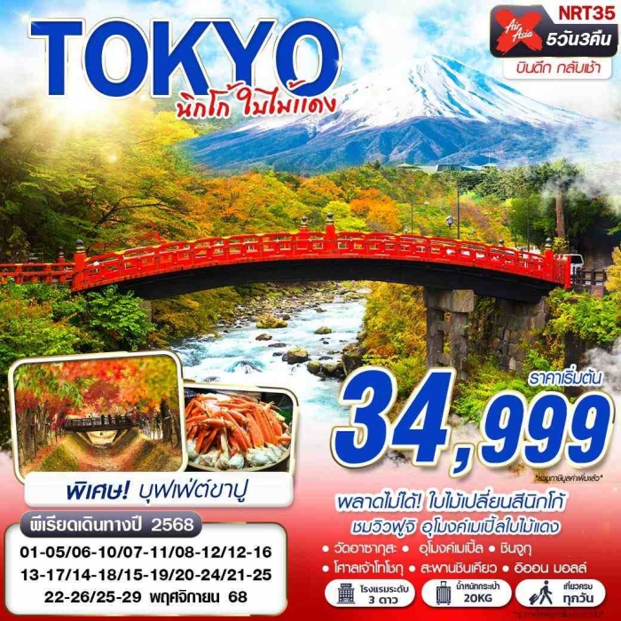 ทัวร์ญี่ปุ่น โตเกียว TOKYO นิกโก้ ใบไม้แดง (บินดึกกลับเช้า เที่ยวเต็ม) 5วัน 3 คืน