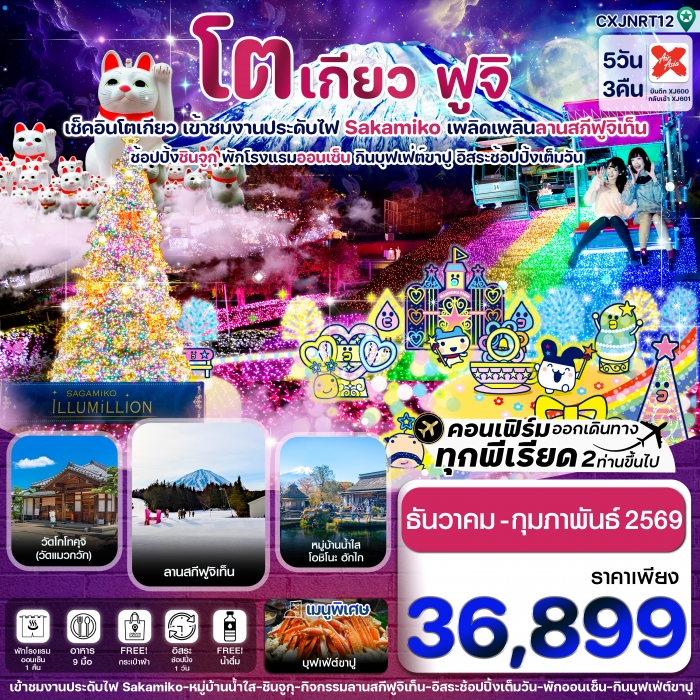 ทัวร์ญี่ปุ่น  โตเกียว ฟูจิ งานประดับไฟซากามิโกะ อิสระช้อปปิ้งเต็มวัน 5วัน 3คืน